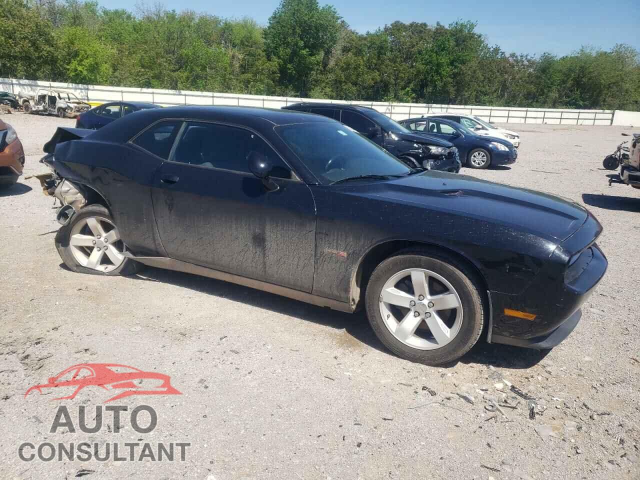 DODGE CHALLENGER 2013 - 2C3CDYAG2DH500419