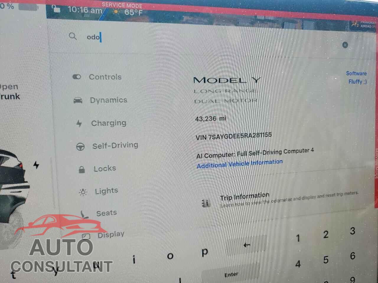 TESLA MODEL Y 2024 - 7SAYGDEE5RA281155