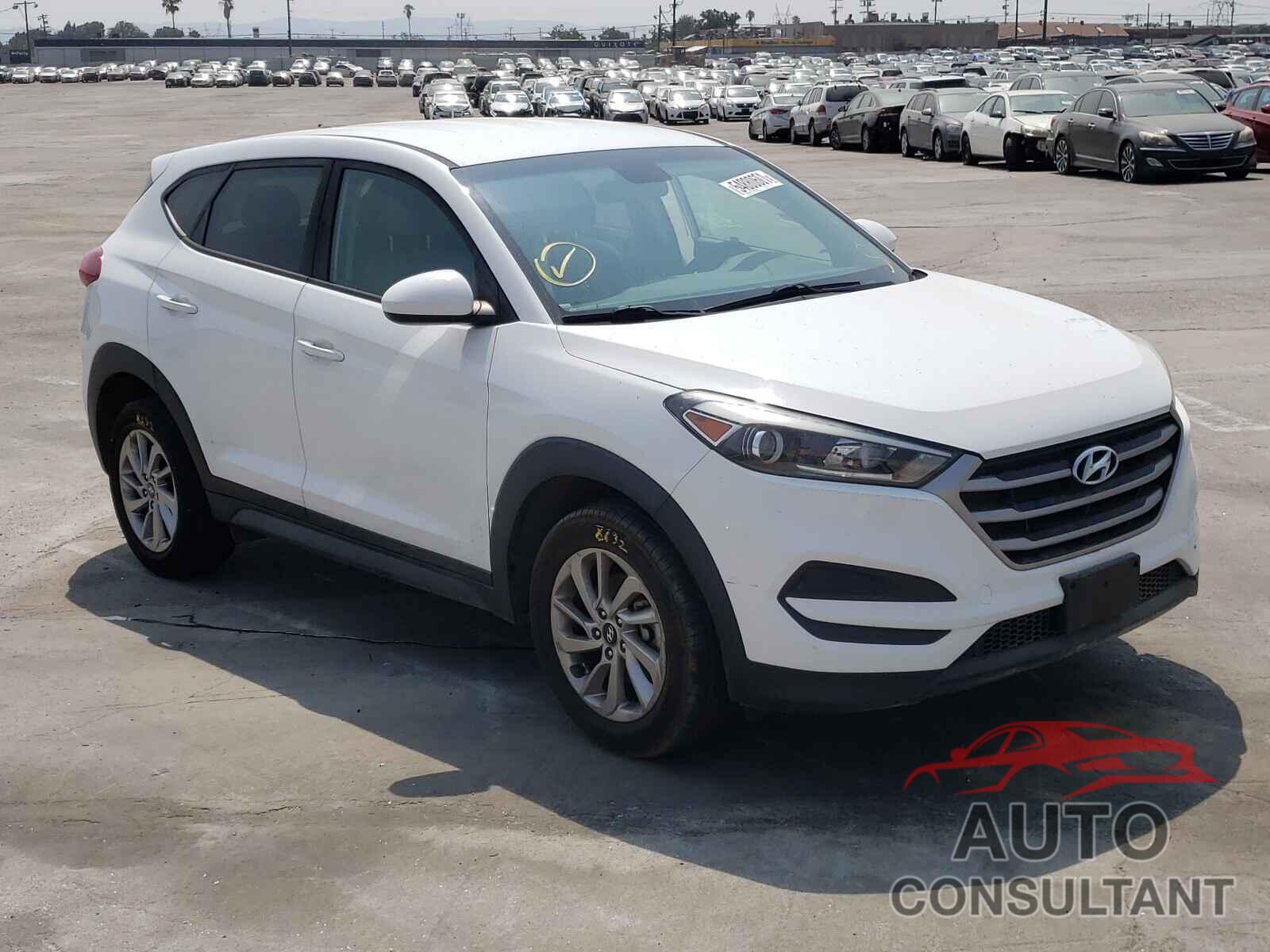 HYUNDAI TUCSON 2017 - KM8J23A48HU263693