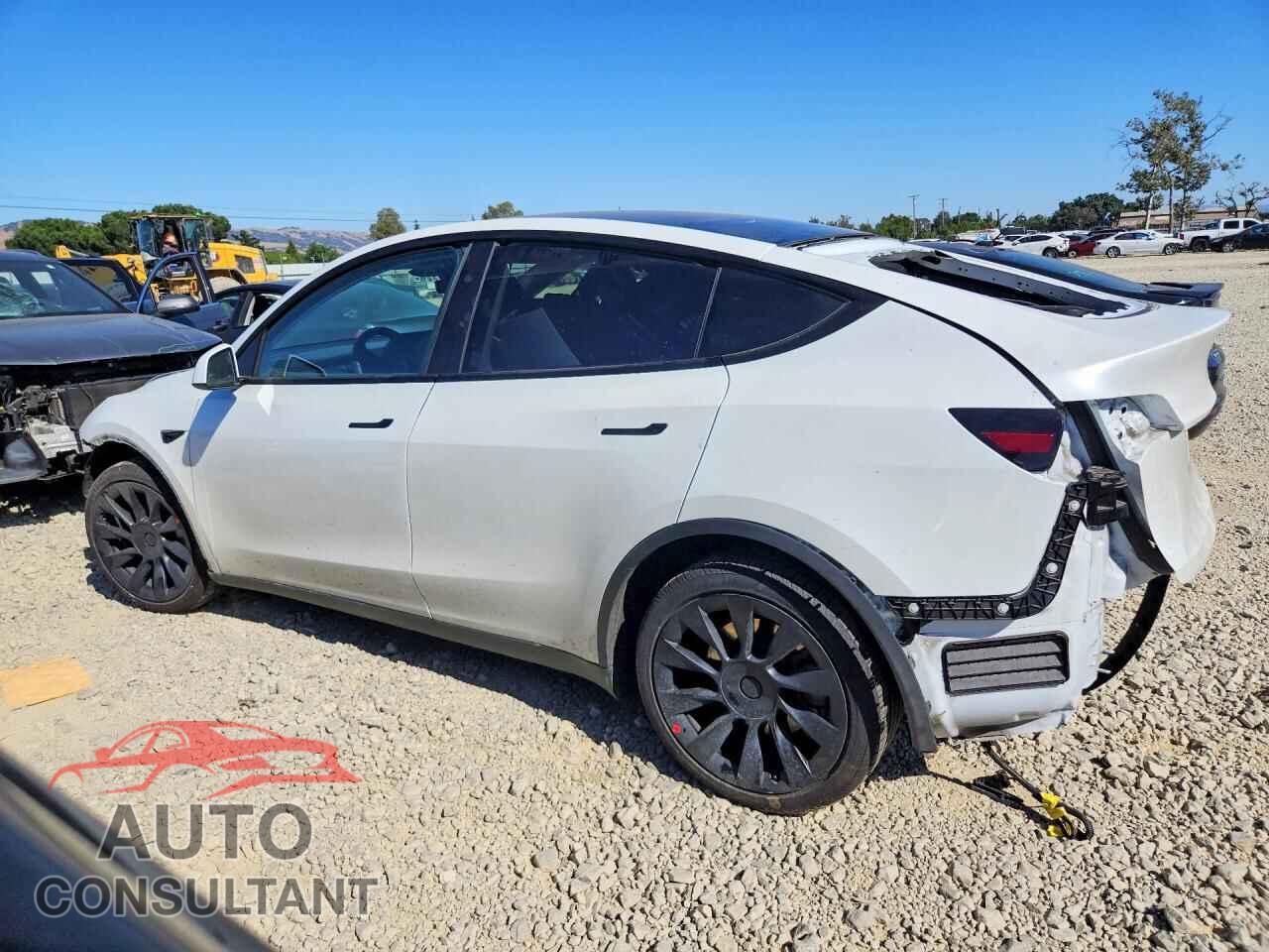 TESLA MODEL Y 2024 - 7SAYGAEE2RF008613