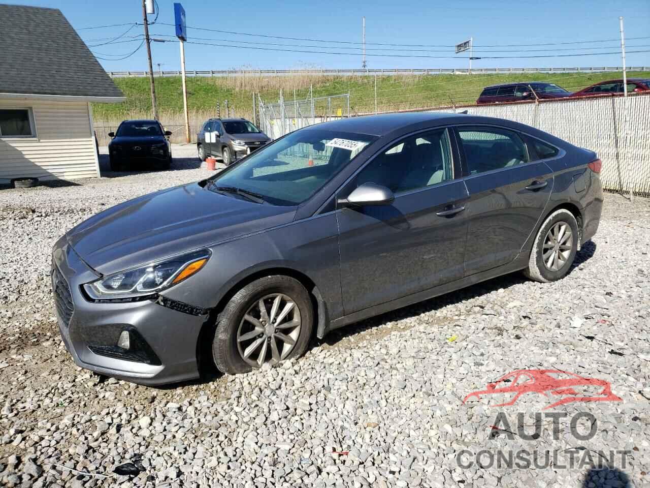 HYUNDAI SONATA 2019 - 5NPE24AF4KH808609