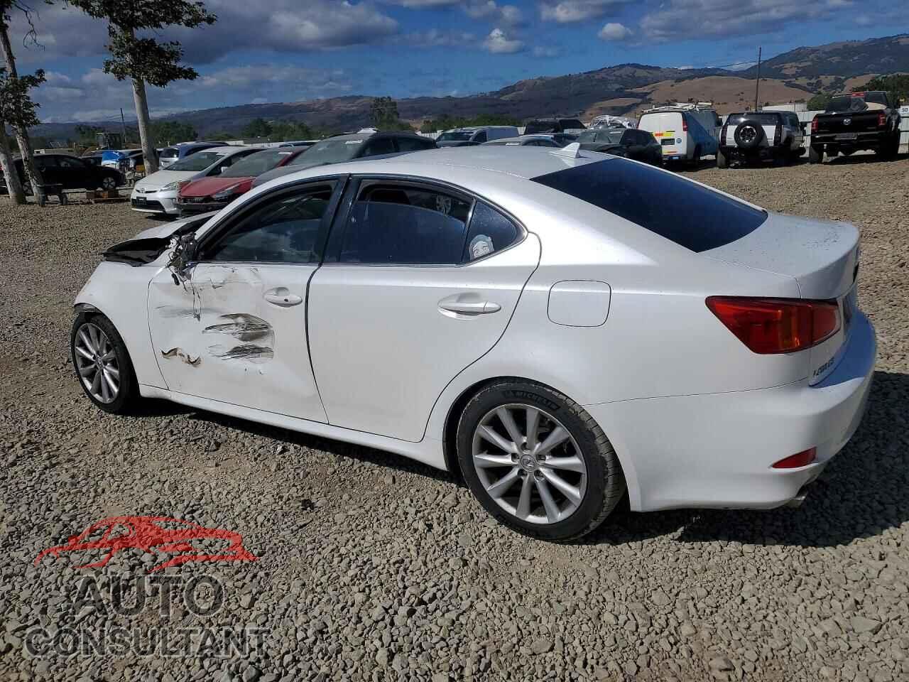LEXUS IS 2009 - JTHBK262392084158