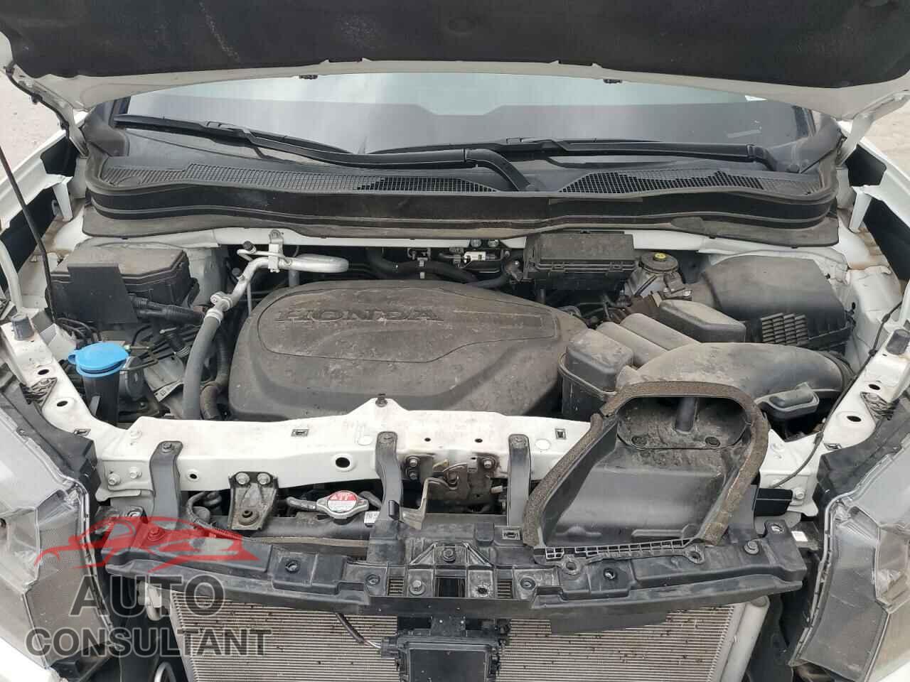 HONDA RIDGELINE 2021 - 5FPYK3F80MB006844