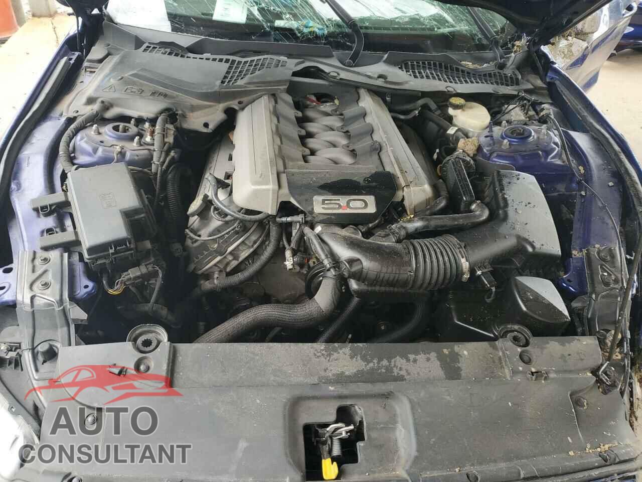 FORD MUSTANG 2016 - 1FA6P8CF9G5259108