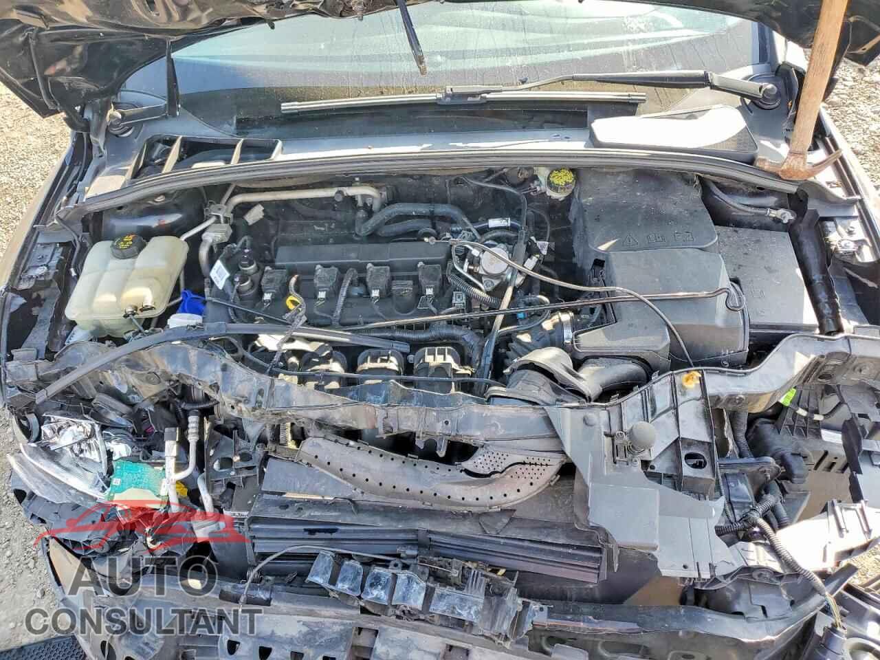 FORD FOCUS 2016 - 1FADP3N26GL381392