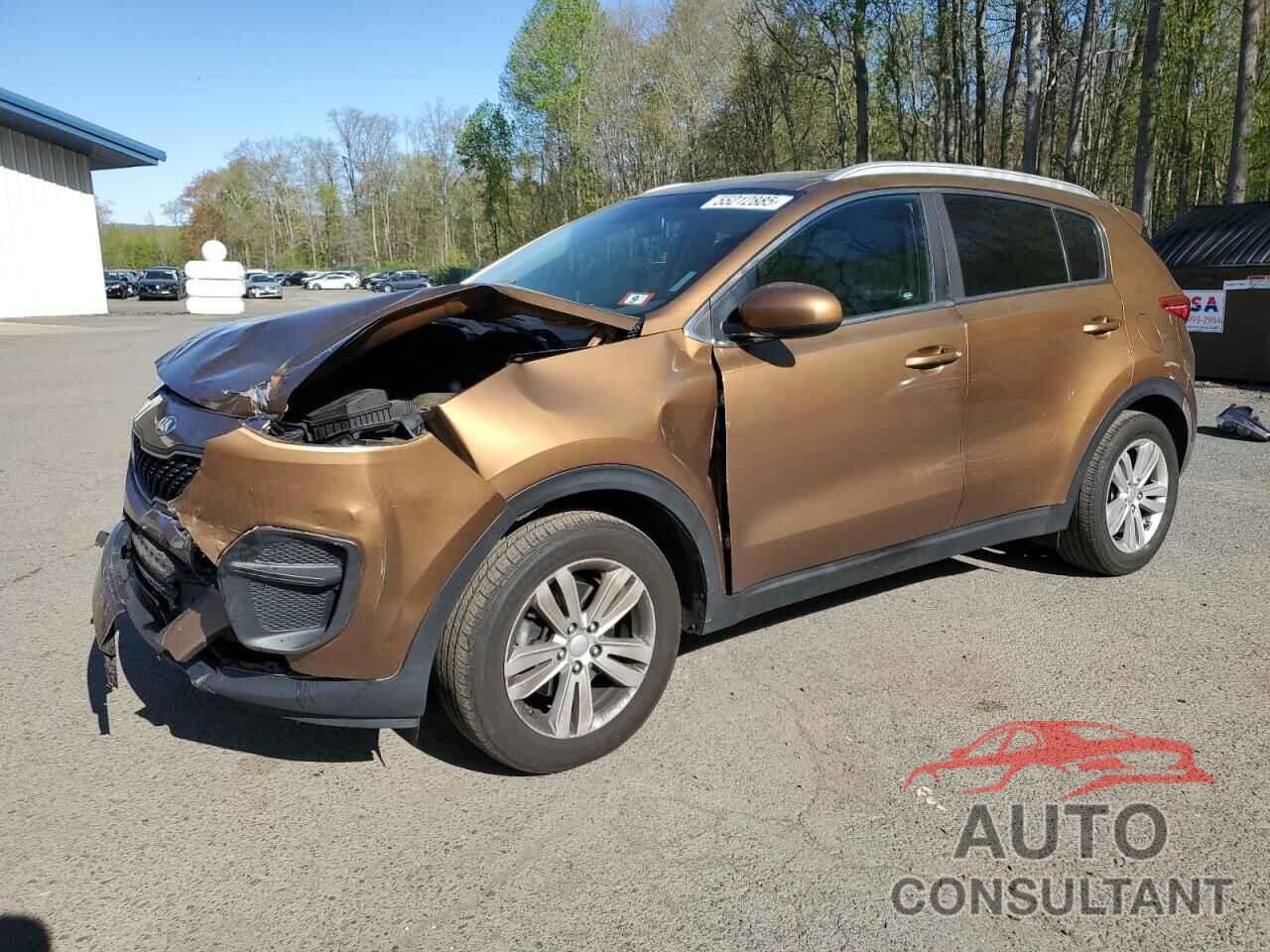 KIA SPORTAGE 2017 - KNDPM3AC9H7033255