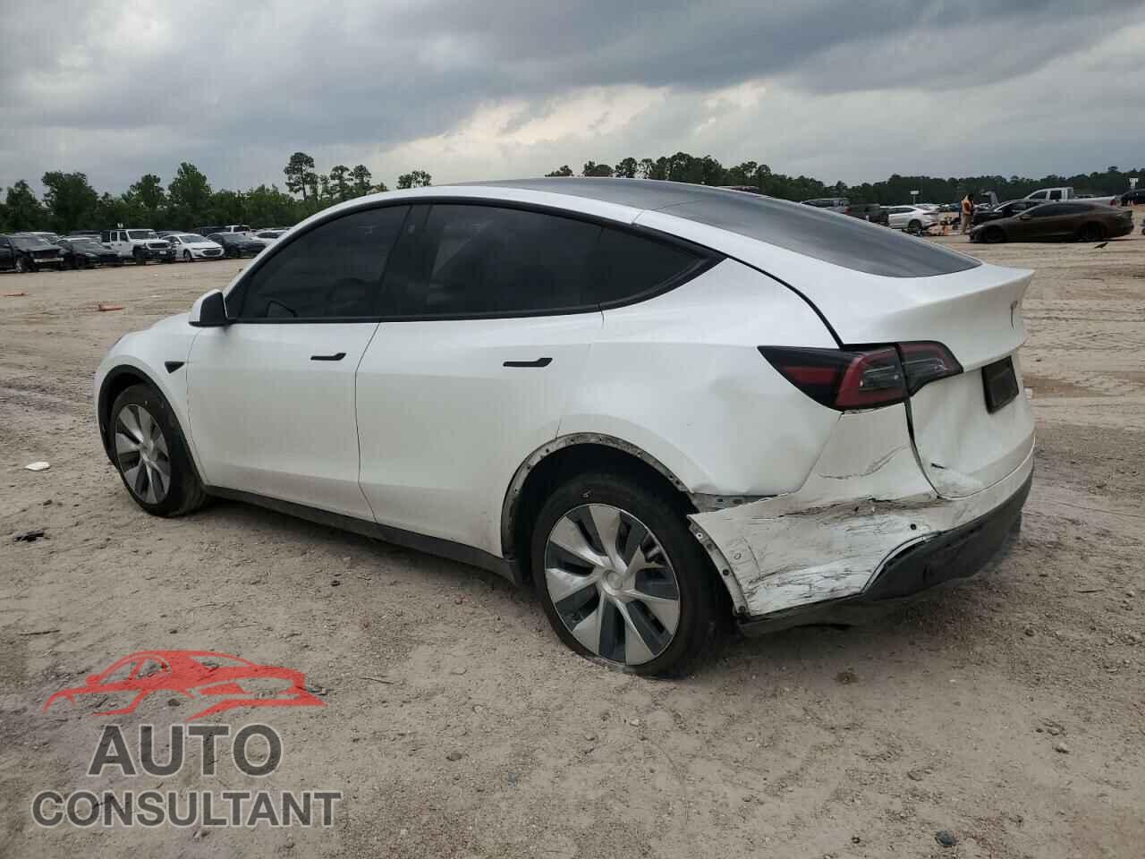 TESLA MODEL Y 2021 - 5YJYGDEE0MF299944