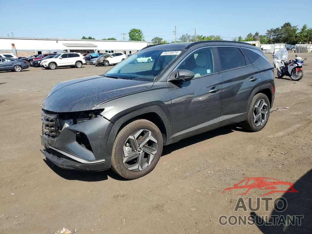 HYUNDAI TUCSON 2024 - KM8JCCD17RU173757