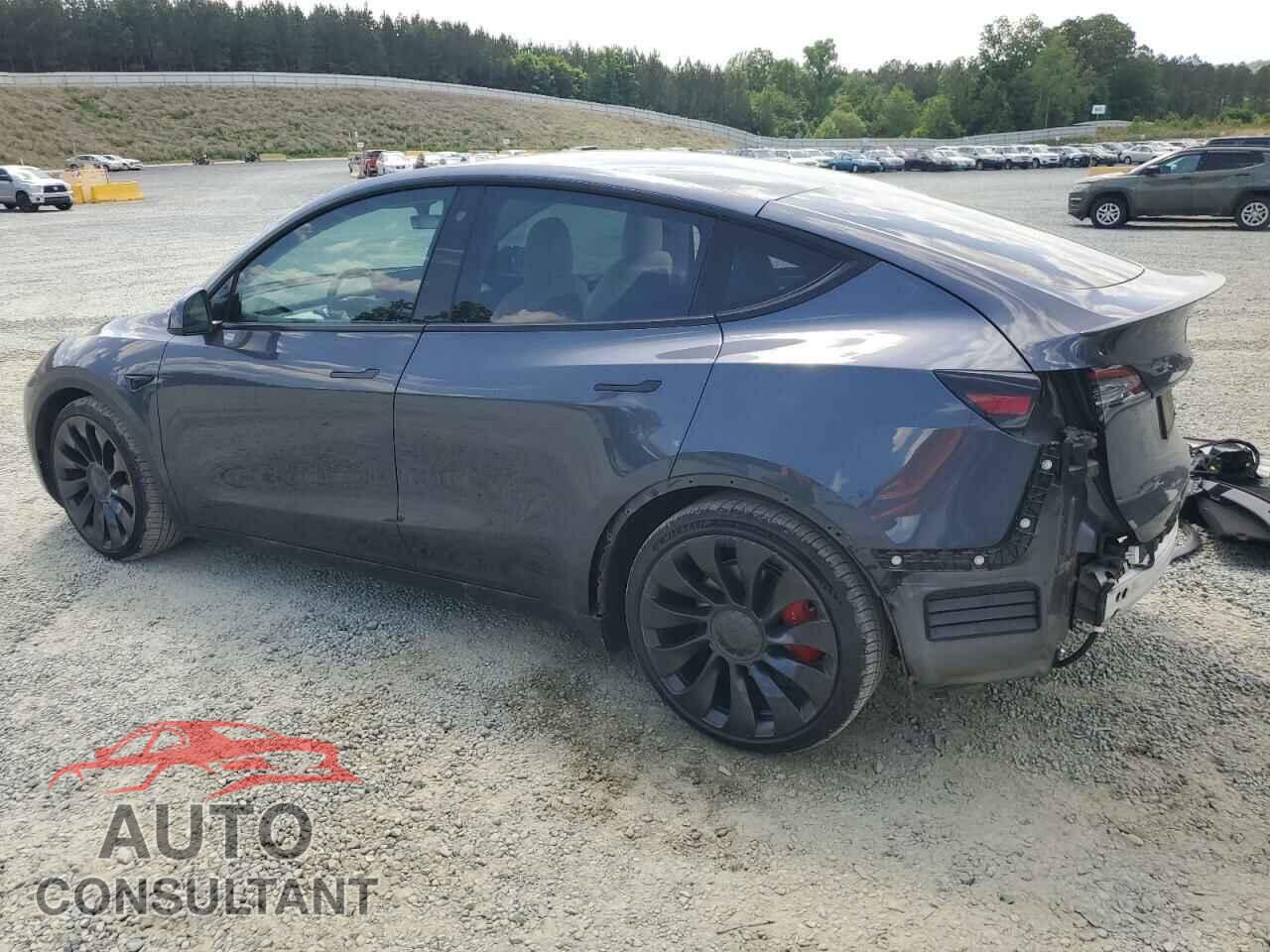 TESLA MODEL Y 2022 - 7SAYGDEF5NF453593