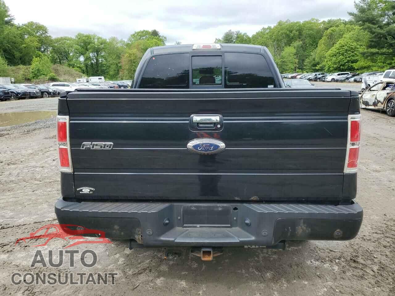 FORD F-150 2013 - 1FTFW1ET1DFD42528