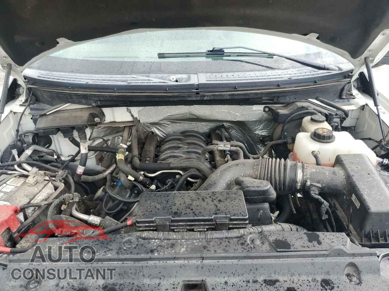 FORD F-150 2012 - 1FTFW1EF2CFC32340
