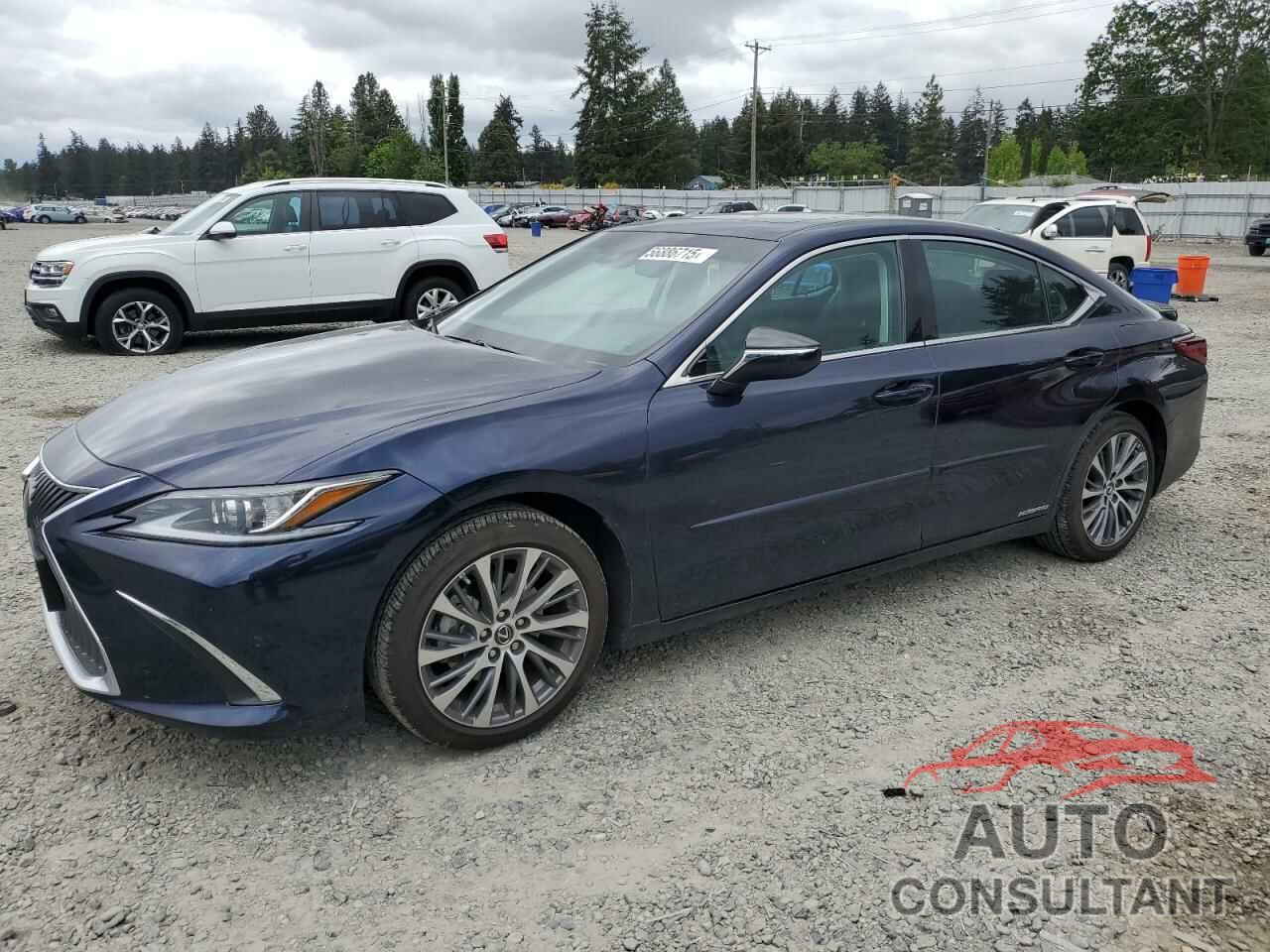 LEXUS ES300 2021 - 58ADA1C17MU010391