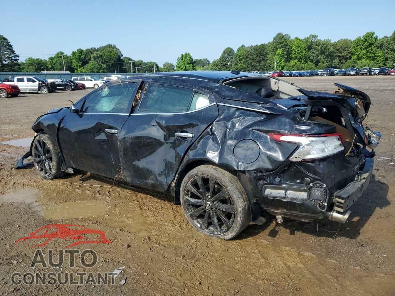 NISSAN MAXIMA 2017 - 1N4AA6AP5HC443955