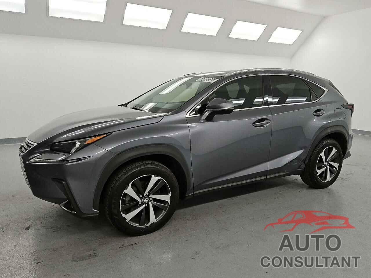 LEXUS NX 2019 - JTJYARBZ0K2154390
