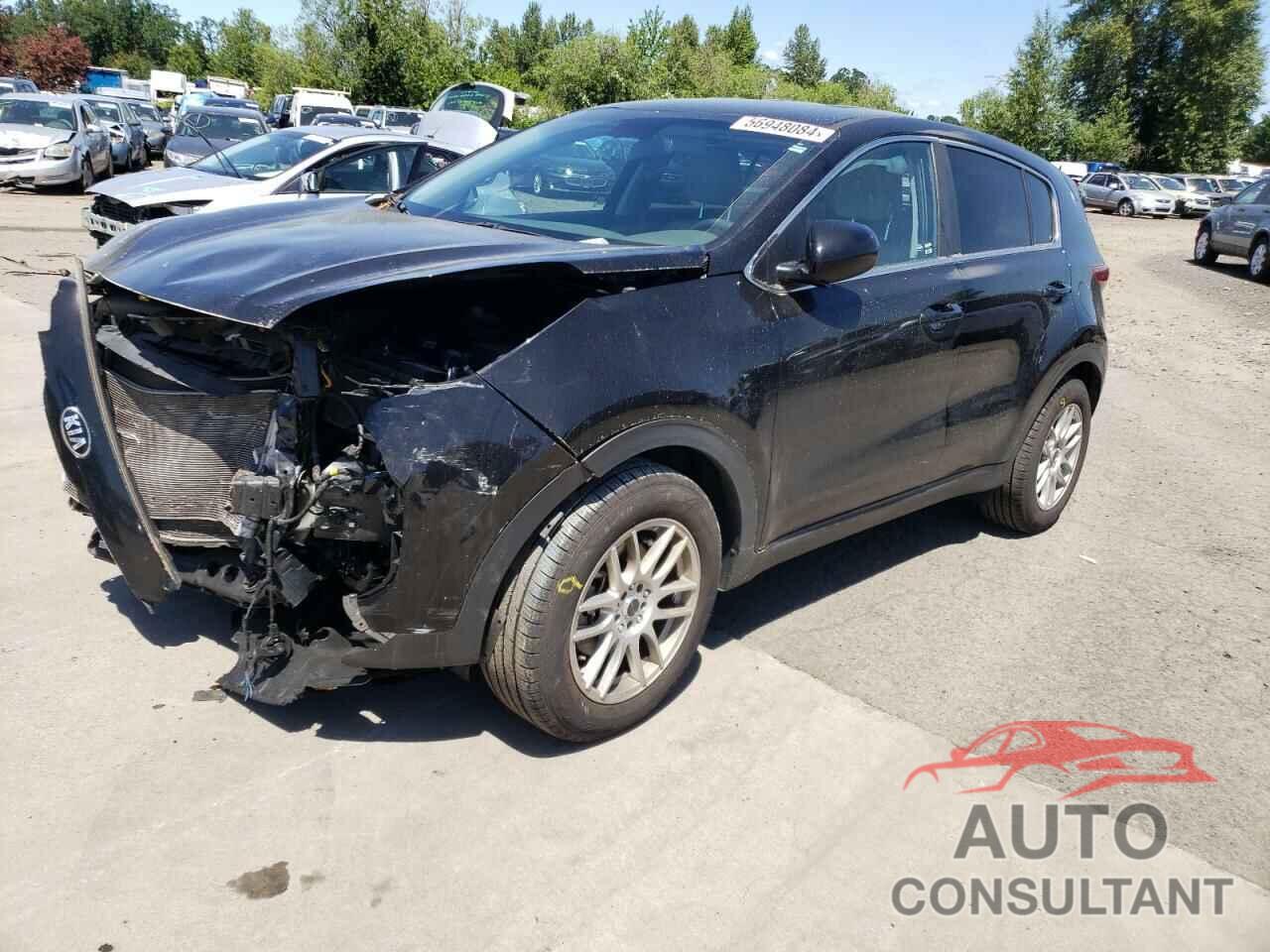 KIA SPORTAGE 2018 - KNDPM3AC5J7329430