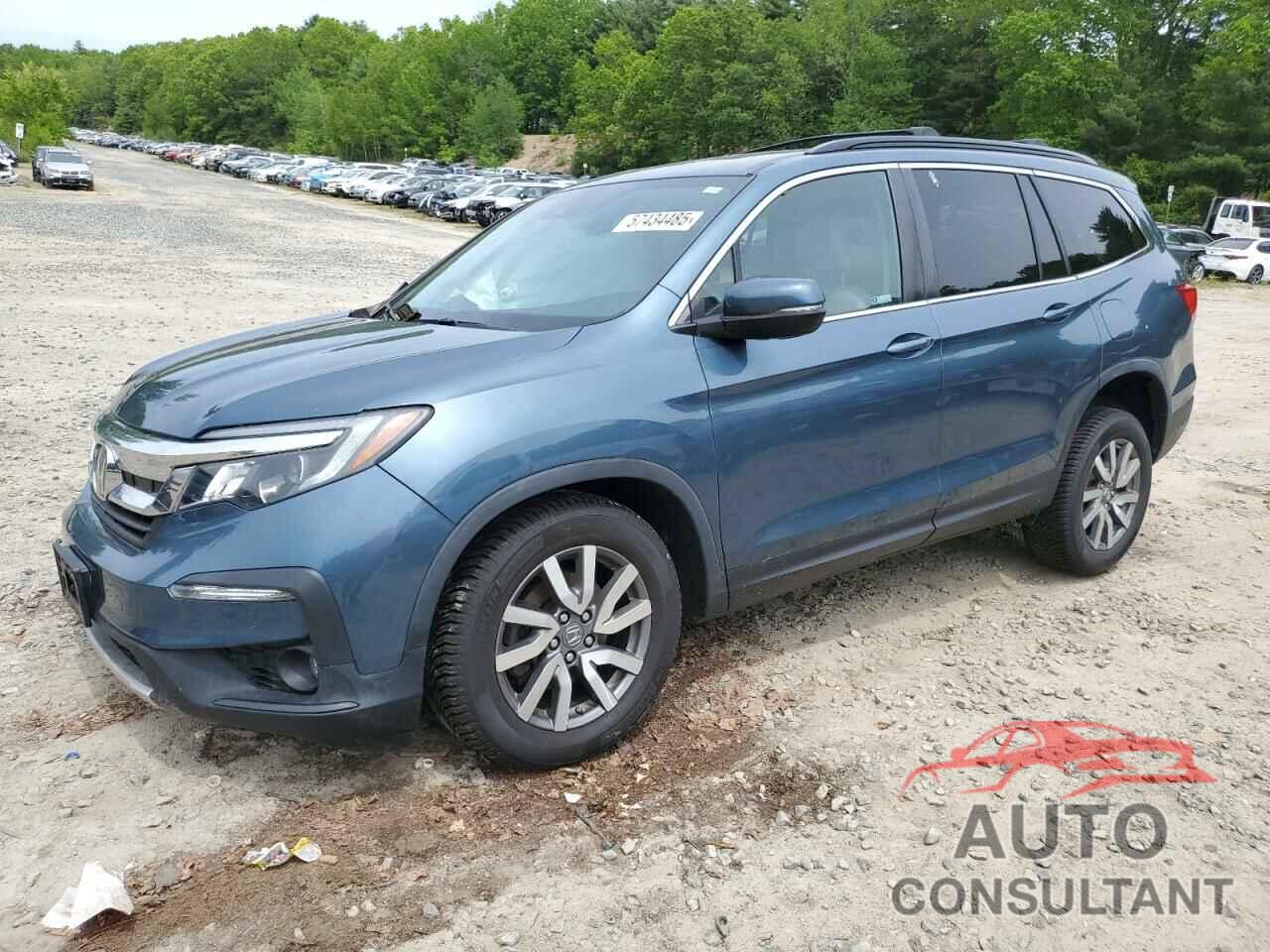HONDA PILOT 2019 - 5FNYF6H51KB025871