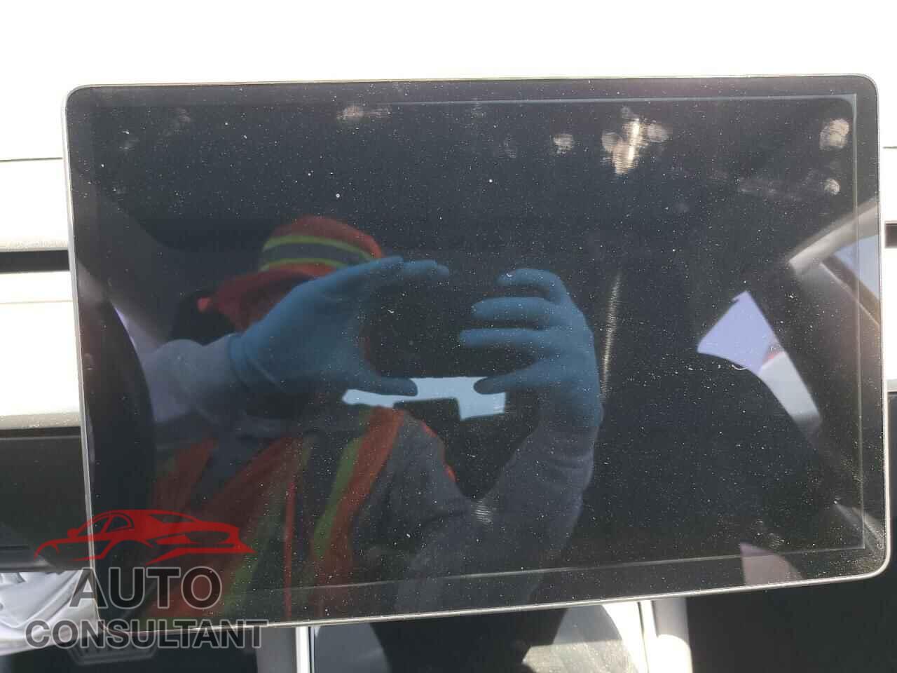TESLA MODEL 3 2019 - 5YJ3E1EA8KF300377