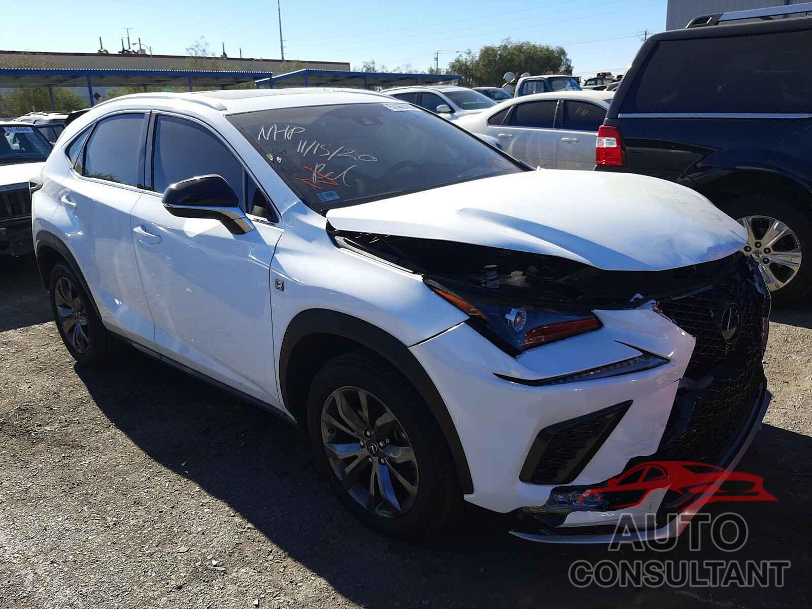 LEXUS NX 2019 - JTJYARBZ9K2129861