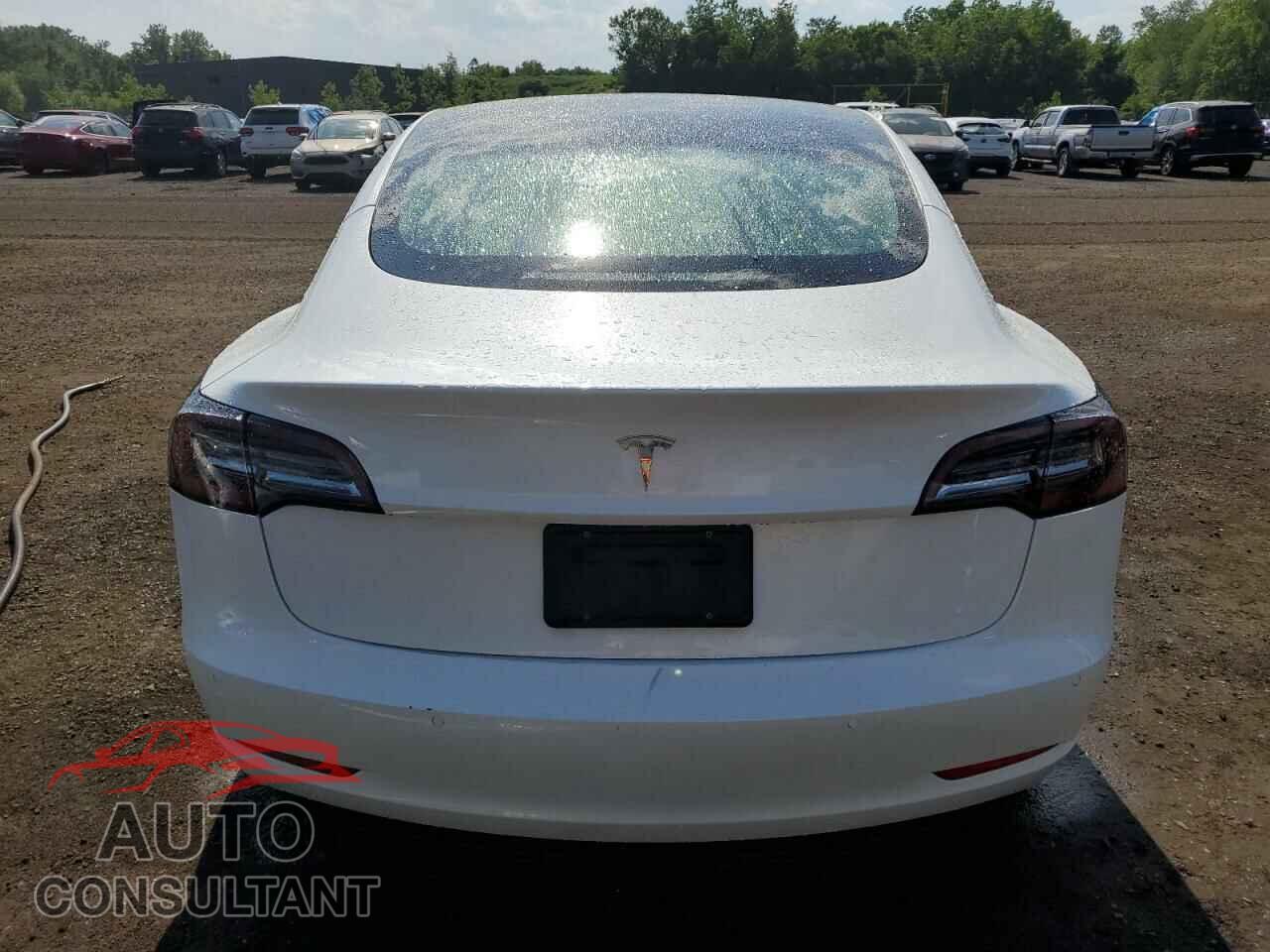 TESLA MODEL 3 2022 - 5YJ3E1EA2NF101930