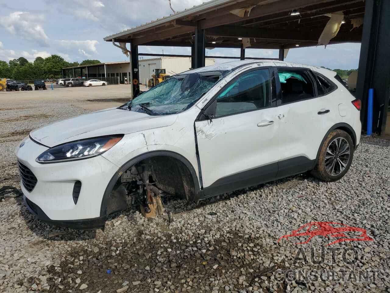 FORD ESCAPE 2022 - 1FMCU0G66NUB62397