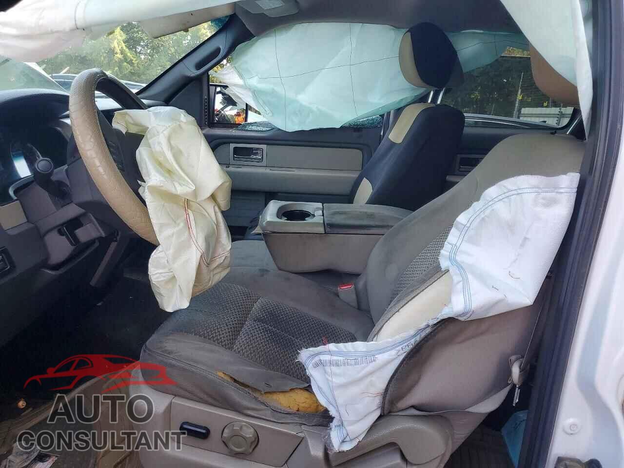 FORD F150 2010 - 1FTEW1C8XAFD38337