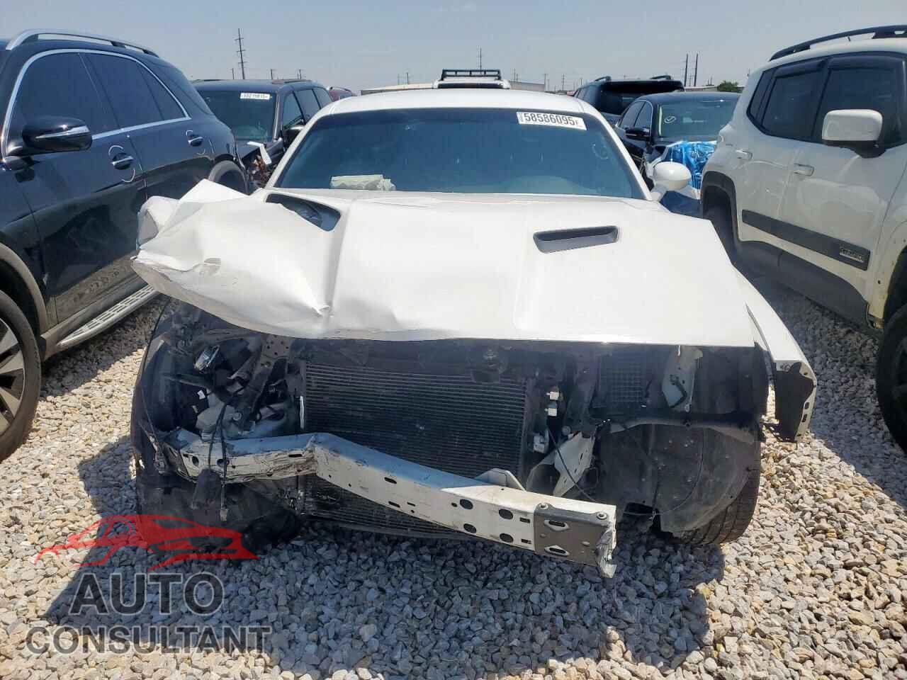 DODGE CHALLENGER 2019 - 2C3CDZAGXKH744368