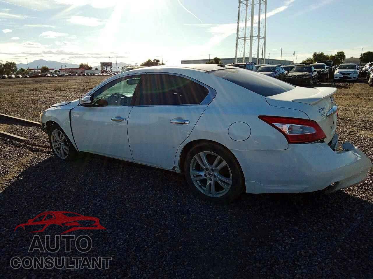 NISSAN MAXIMA 2011 - 1N4AA5AP7BC862648
