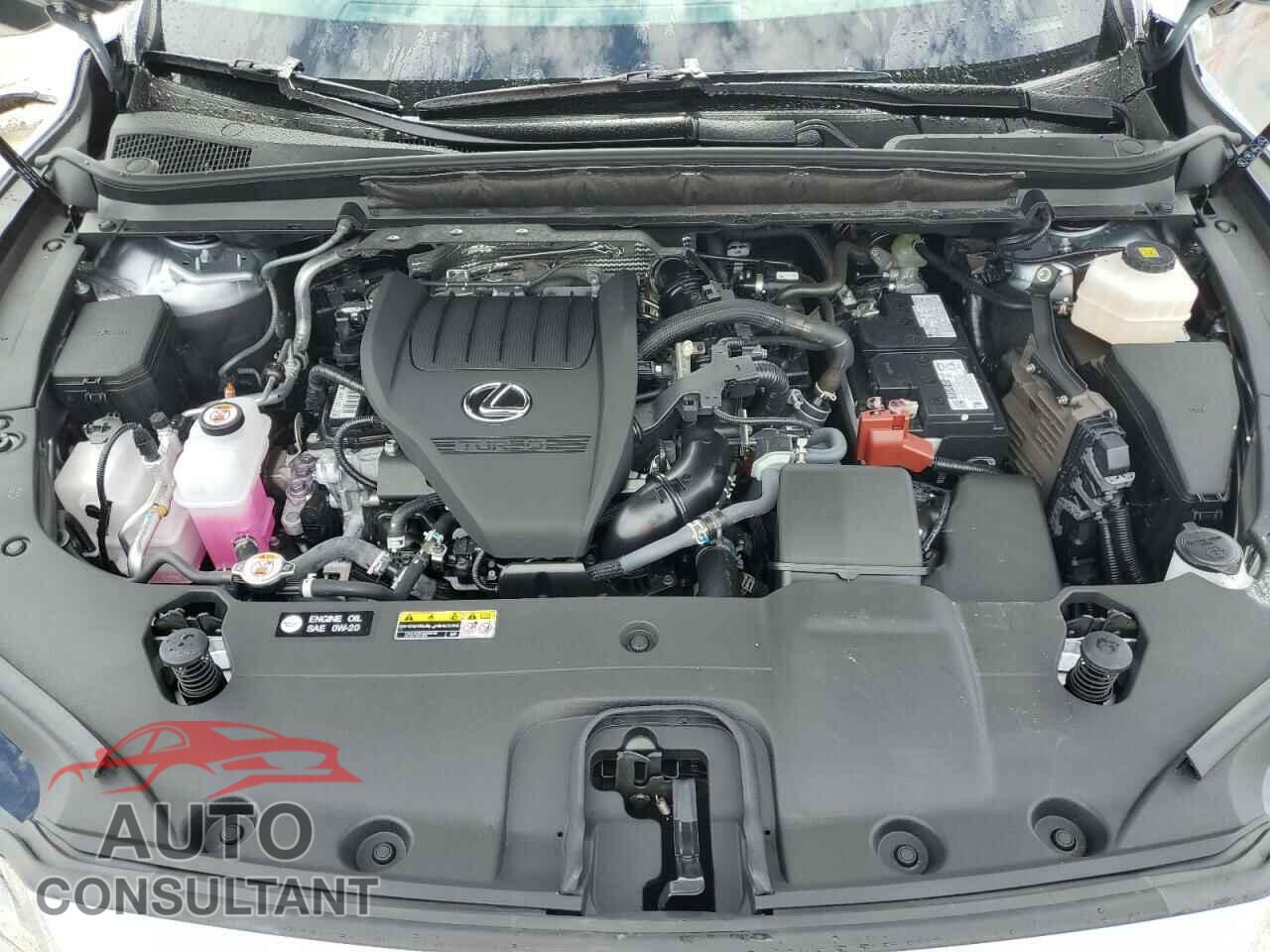 LEXUS RX350 2023 - 2T2BAMBA8PC011259