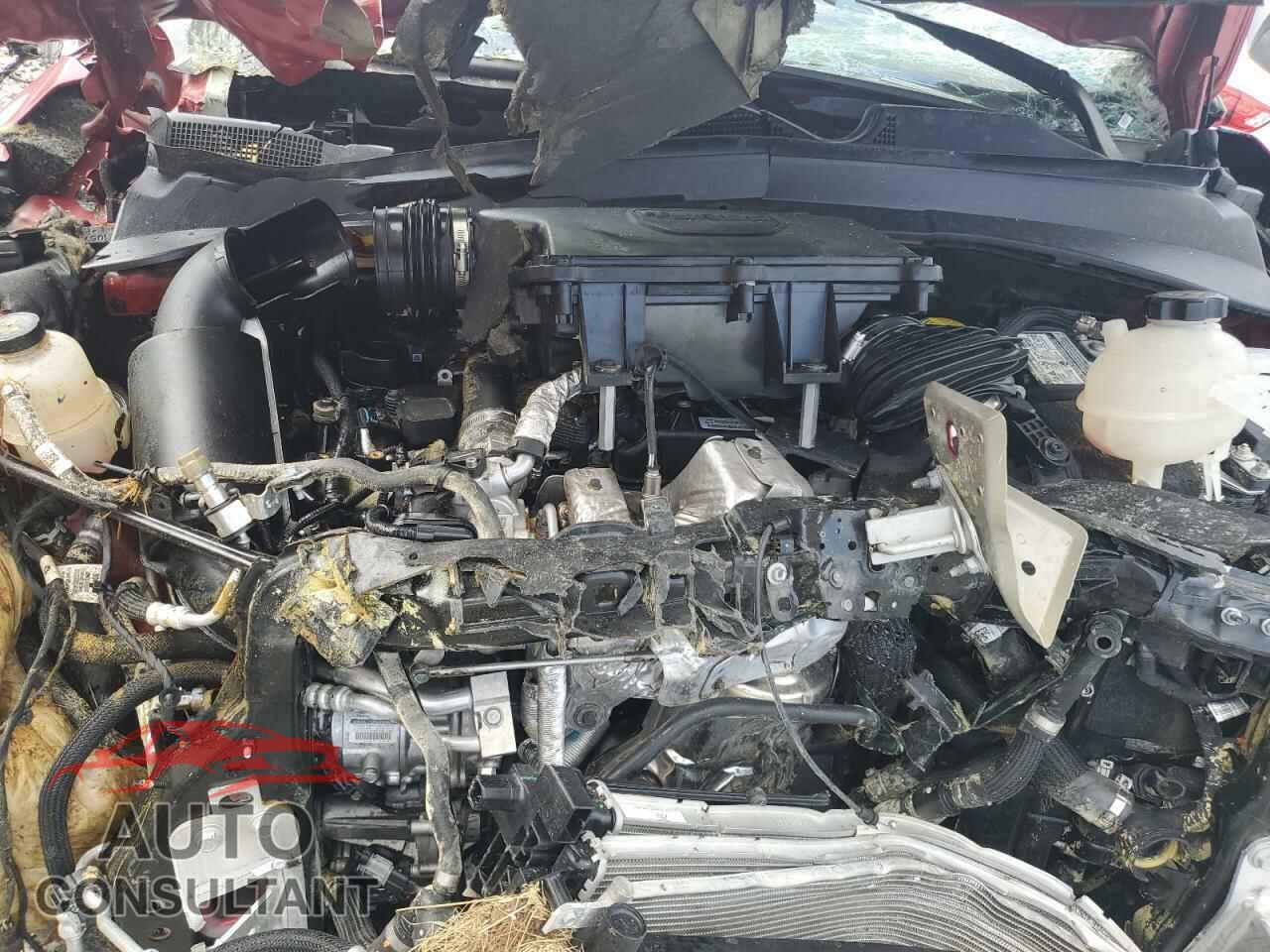 JEEP COMPASS 2024 - 3C4NJDCN4RT172887