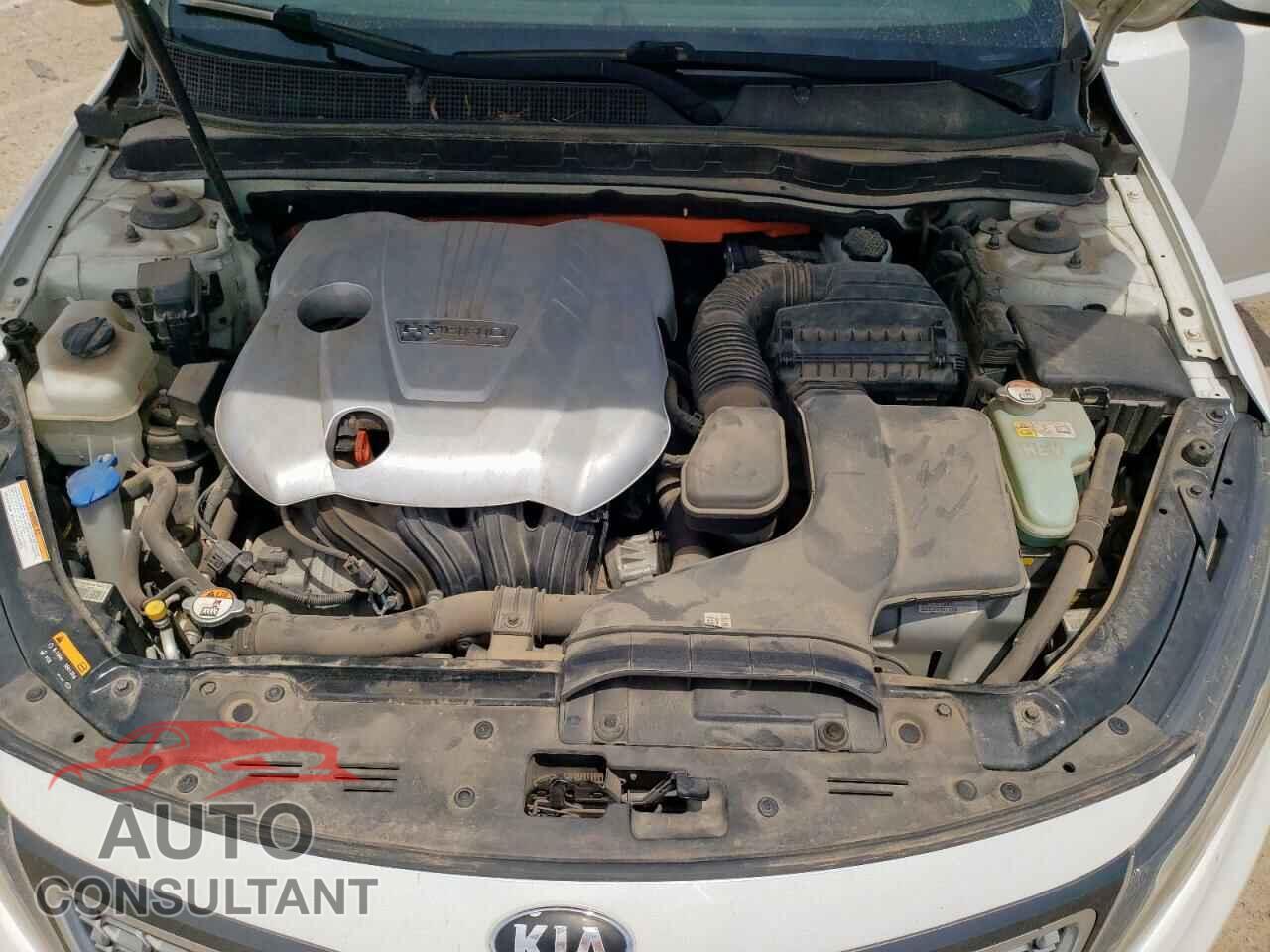 KIA OPTIMA 2014 - KNAGN4AD2E5064928
