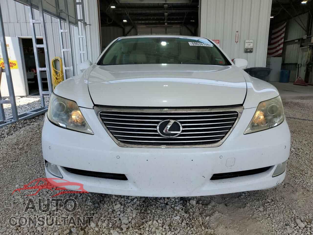 LEXUS LS460 2009 - JTHBL46FX95087634
