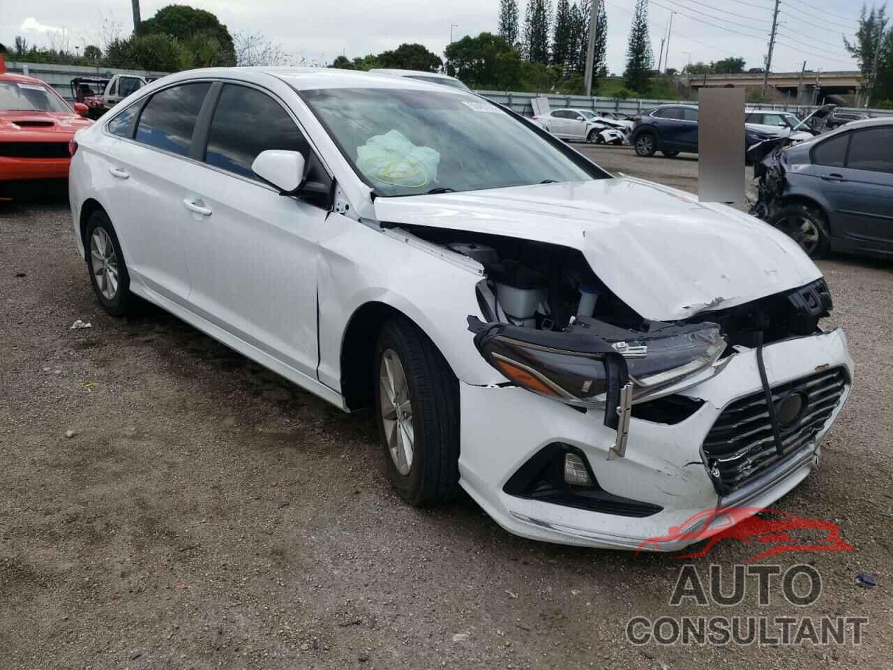 HYUNDAI SONATA 2019 - 5NPE24AF8KH771919