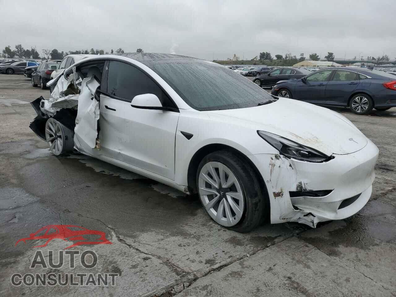 TESLA MODEL 3 2021 - 5YJ3E1EA4MF095854