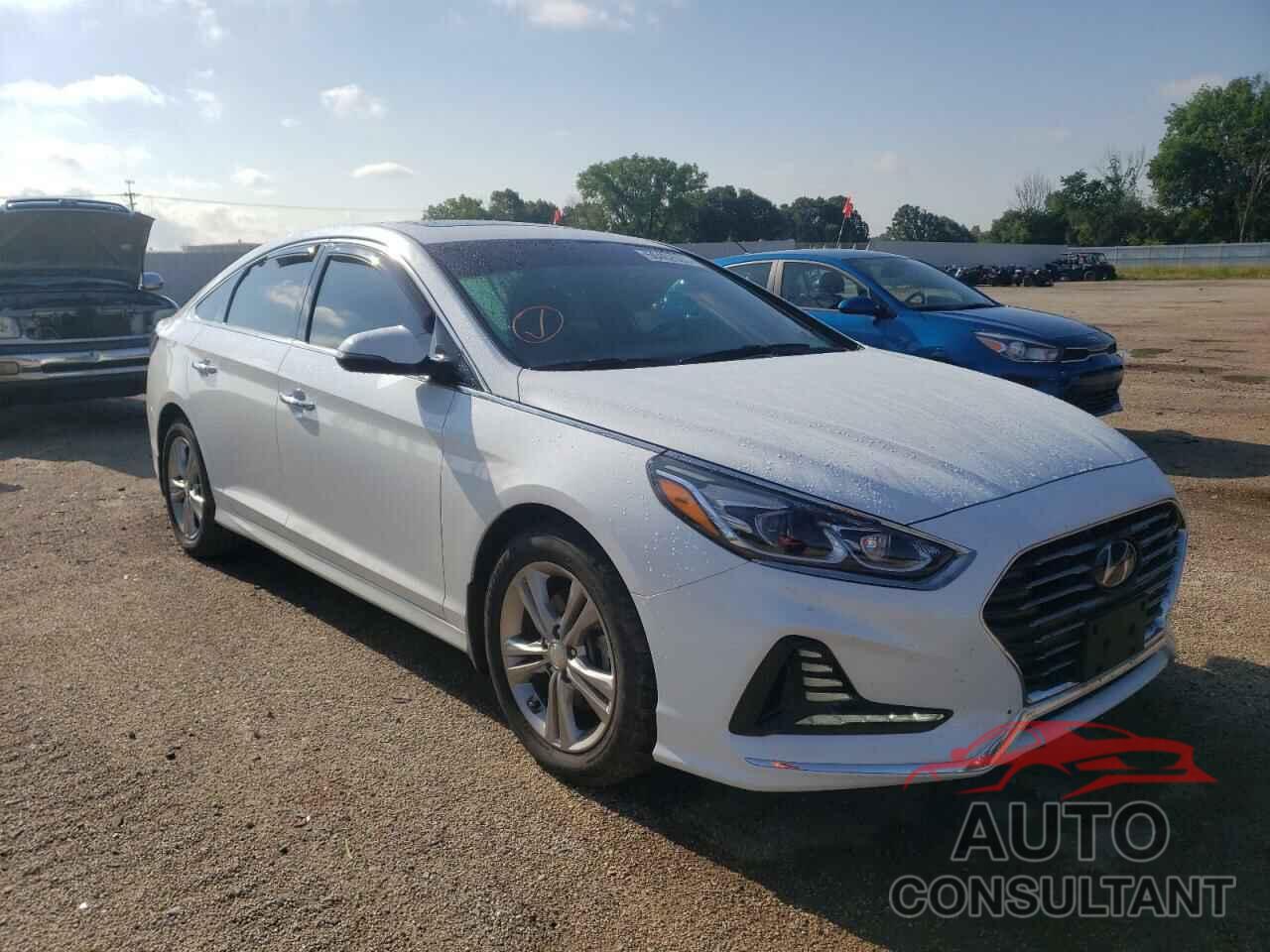 HYUNDAI SONATA 2018 - 5NPE34AFXJH673194