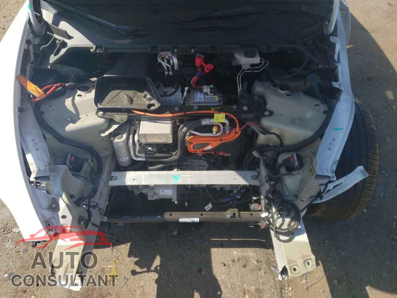 TESLA MODEL Y 2022 - 7SAYGDEF0NF404253