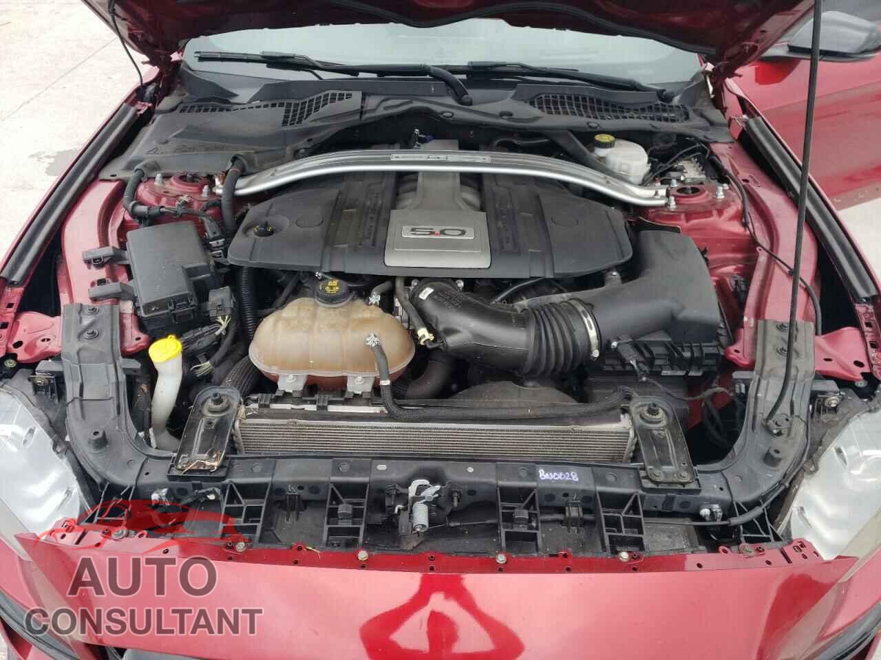 FORD MUSTANG 2019 - 1FA6P8CF3K5116986