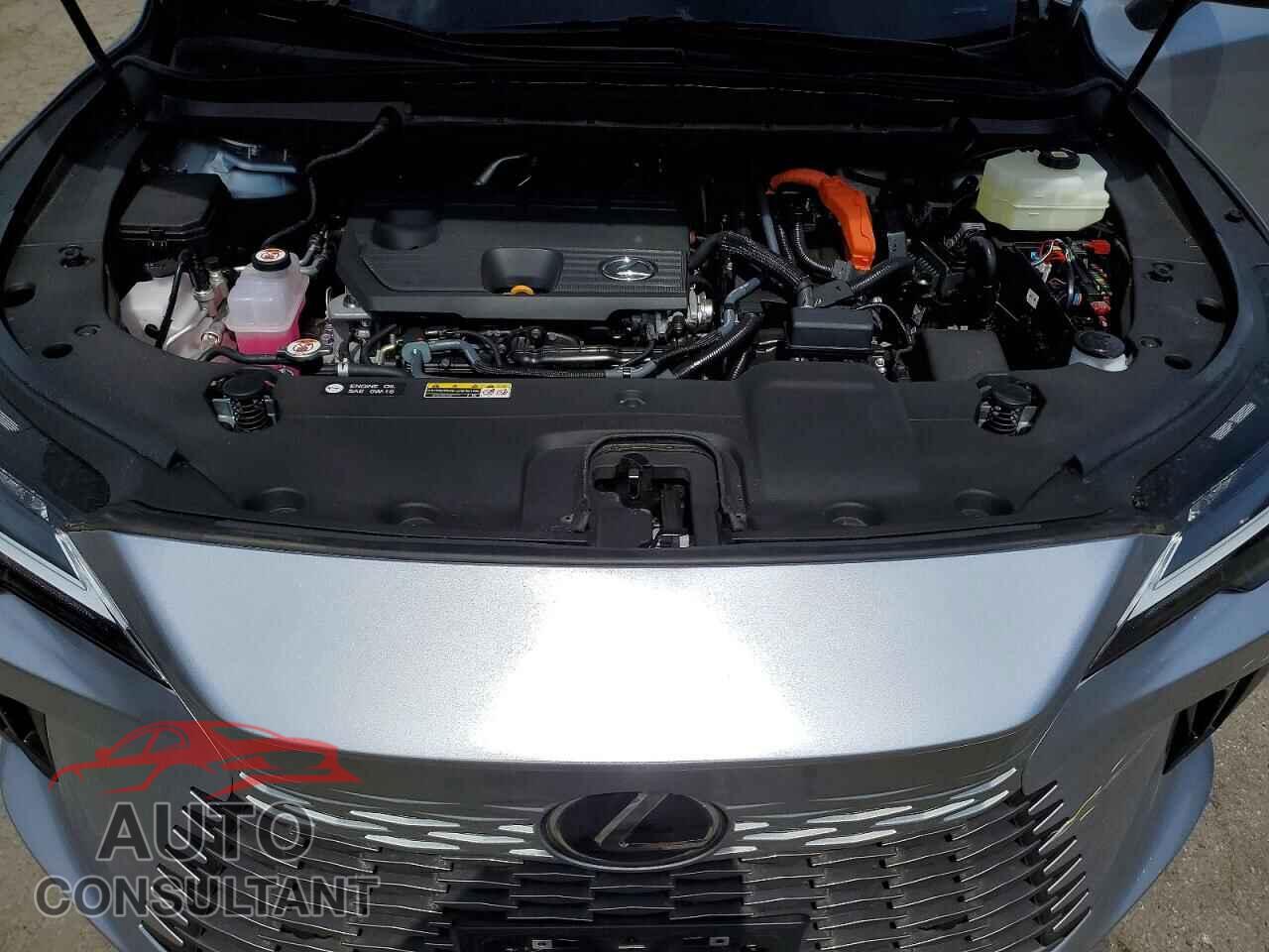 LEXUS UNKNOWN 2026 - 2T2BBMCA5TC120851