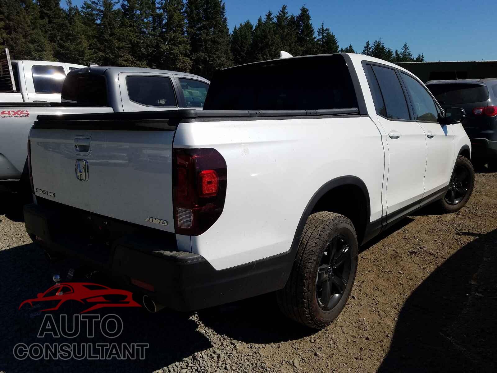 HONDA RIDGELINE 2021 - 5FPYK3F82MB008854