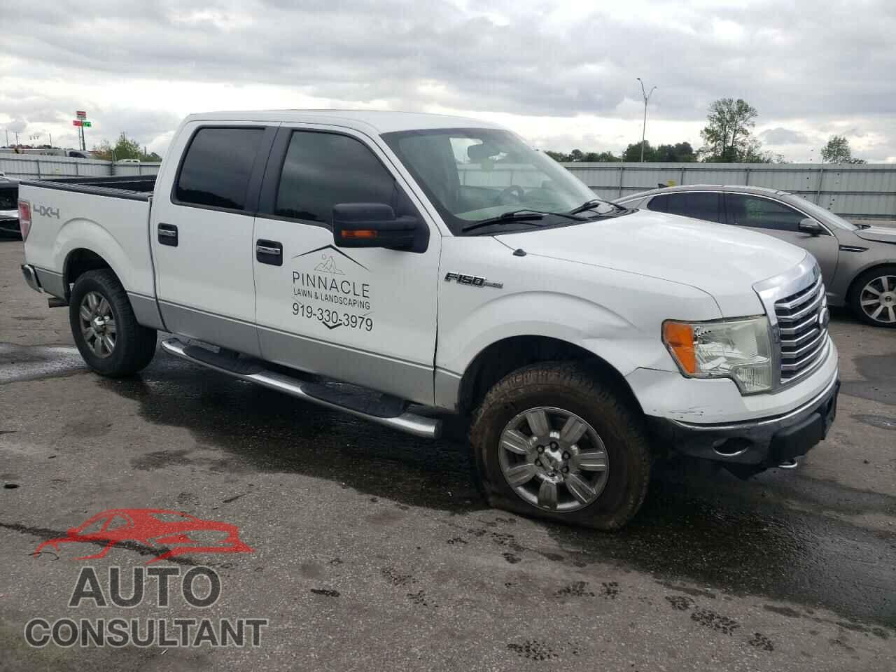 FORD F-150 2010 - 1FTFW1EV8AFB14801