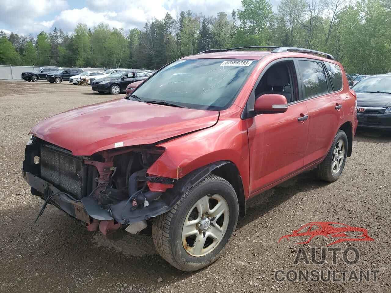 TOYOTA RAV4 2011 - 2T3BF4DV1BW125088