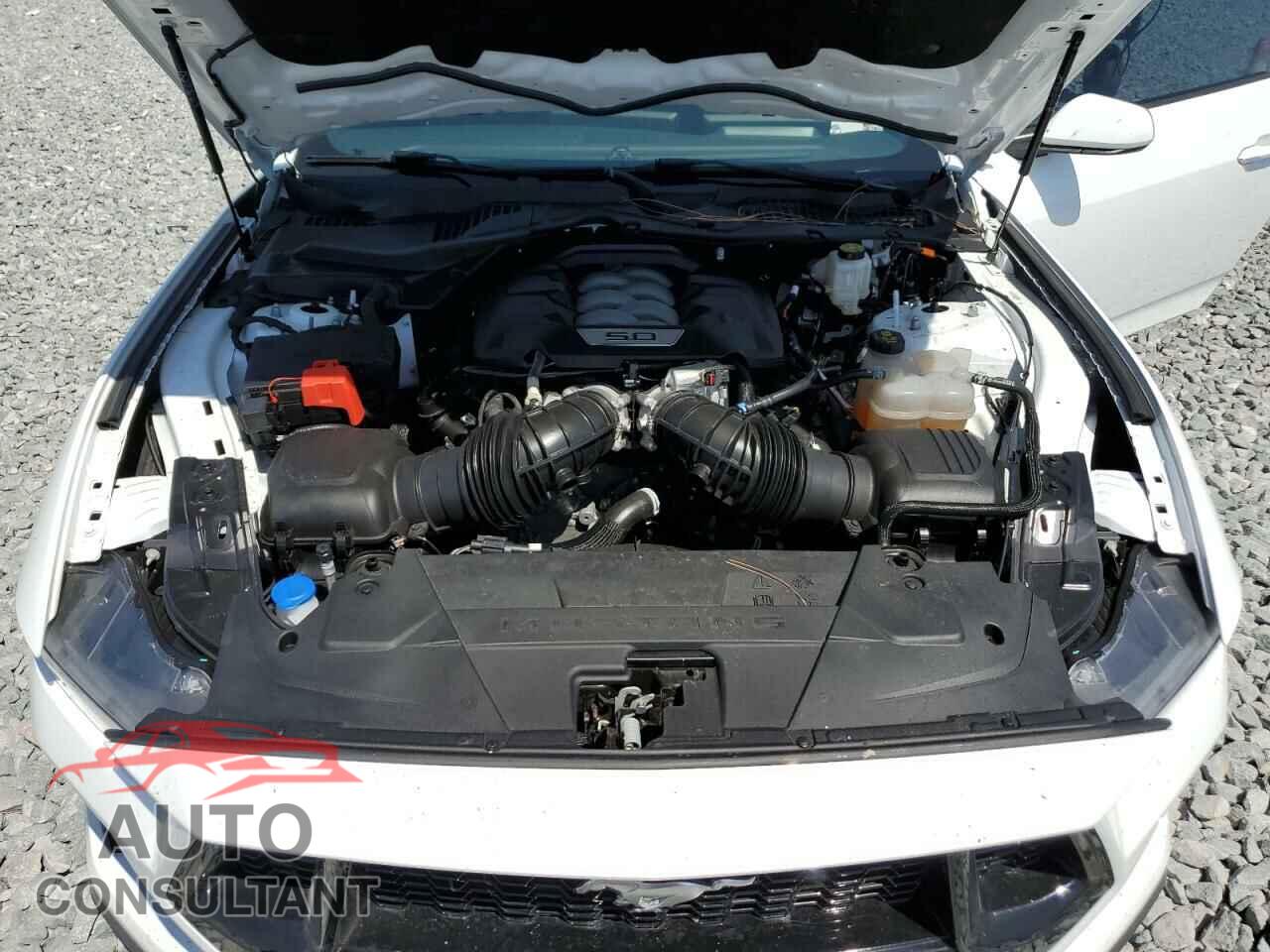 FORD MUSTANG 2024 - 1FA6P8CF6R5426849