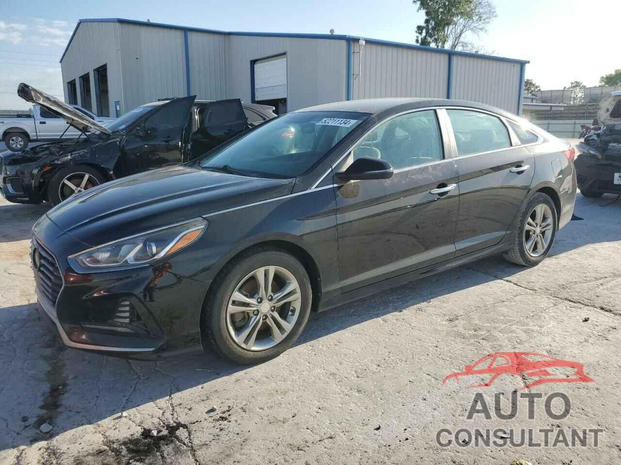 HYUNDAI SONATA 2018 - 5NPE34AF3JH636228