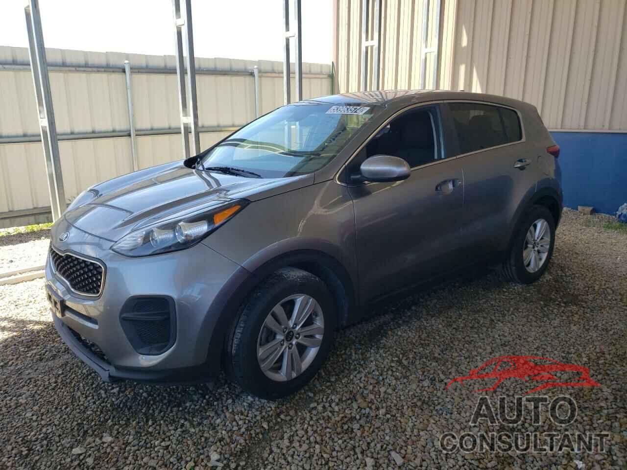 KIA SPORTAGE 2019 - KNDPM3AC5K7520878