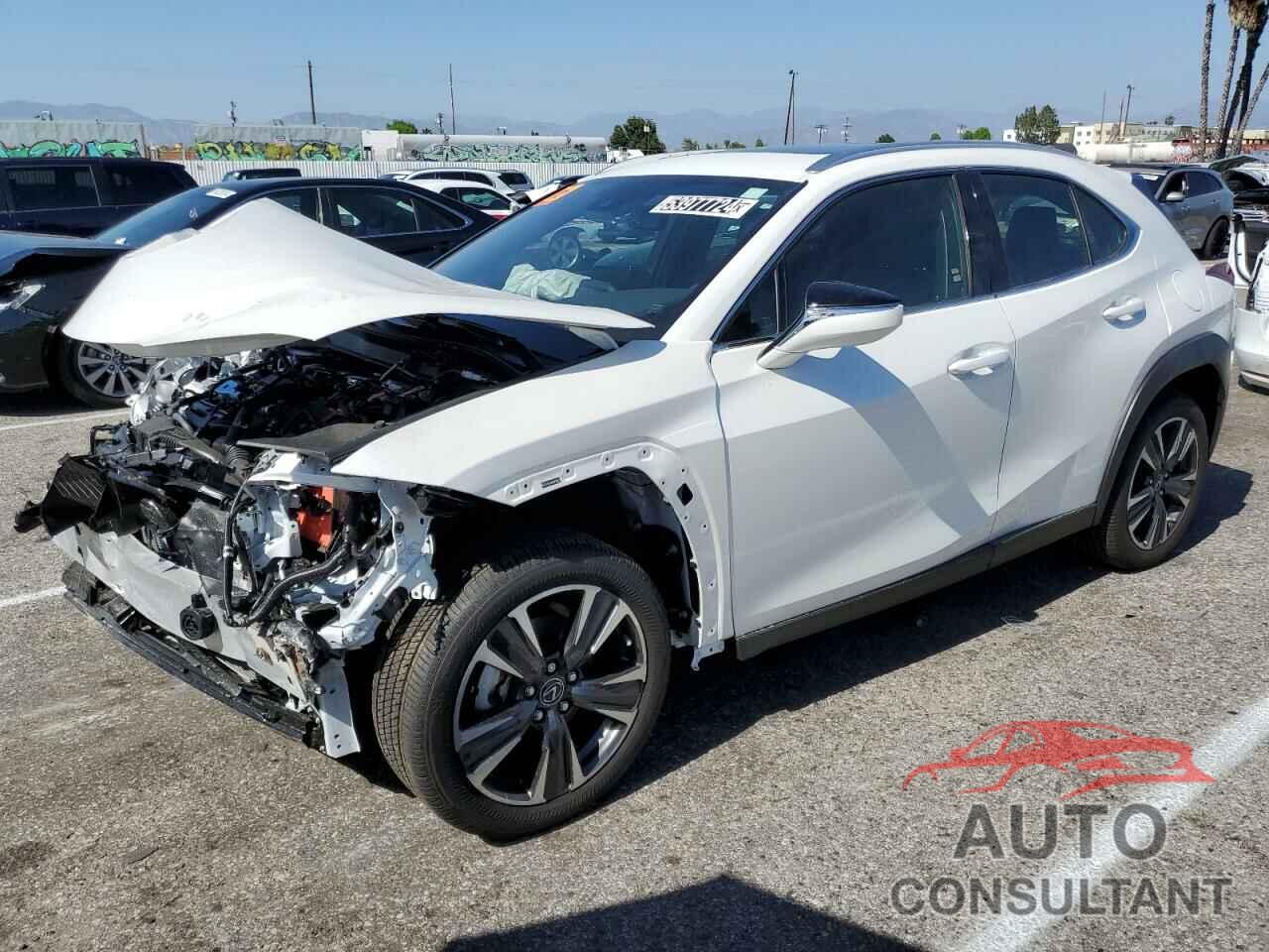 LEXUS UX 250H BA 2024 - JTHX6JBH0R2192137