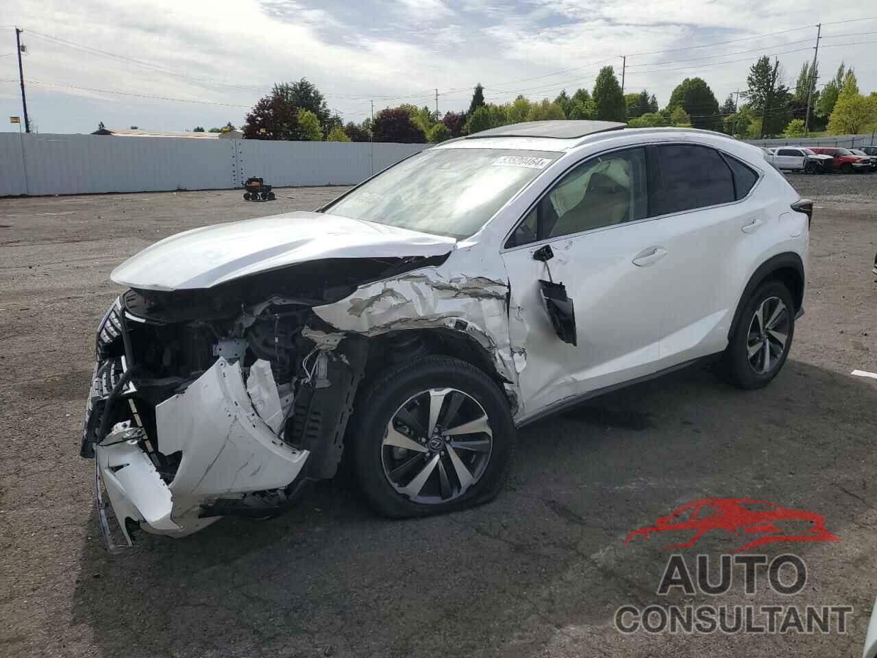 LEXUS NX 2019 - JTJYARBZ3K2136661