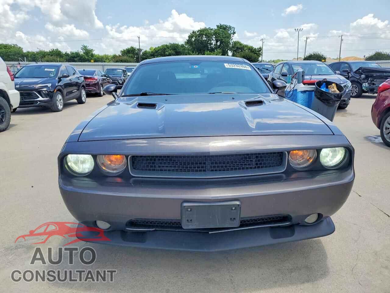 DODGE CHALLENGER 2014 - 2C3CDYAG8EH294833