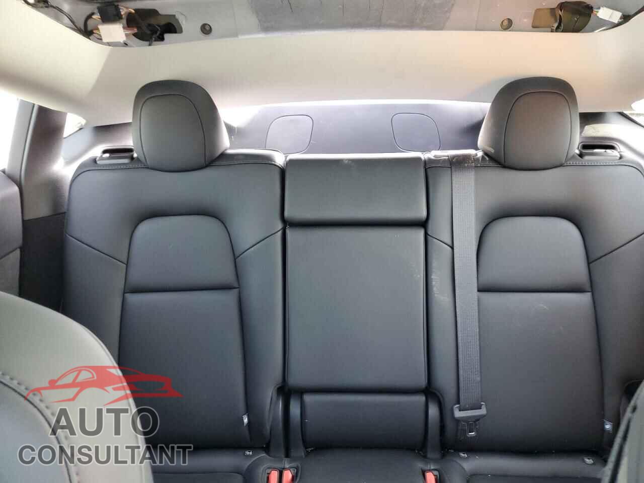 TESLA MODEL Y 2024 - 7SAYGDEE8RF201768