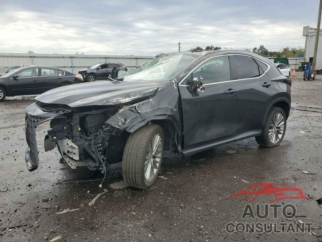 LEXUS NX 350H 2022 - 2T2GKCEZ8NC008566