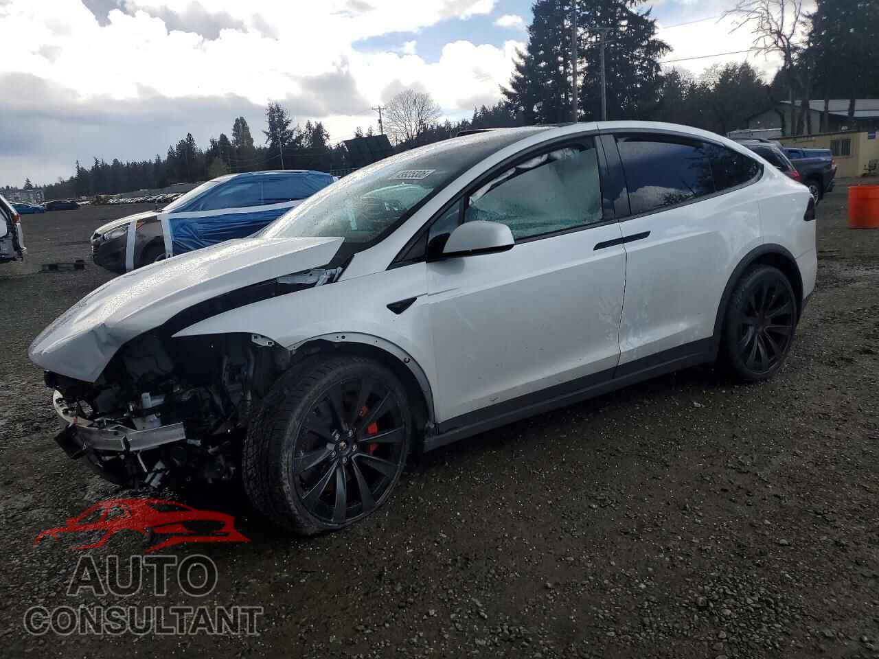 TESLA MODEL X 2024 - 7SAXCBE62RF453942