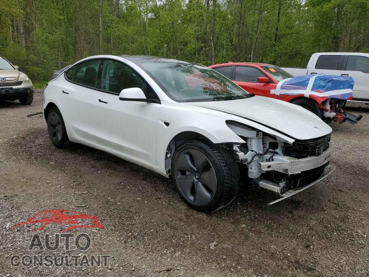 TESLA MODEL 3 2021 - 5YJ3E1EA3MF856941